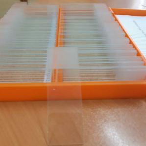 توزیع مستقیم لام سیلانه 100 عددی درجه یک