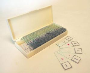 بازار فروش لام سیلانه پاتولوژی آزمایشگاهی